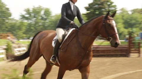 Hunter Jumper Cantering Through Course Stock Footage 50143059