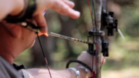 Hunter loading a bow and shooting arrows Stock Footage 171996578