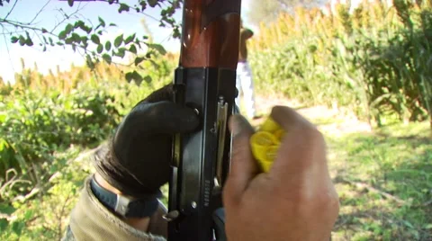 Hunter loading shells in shotgun Stock Footage 54591850