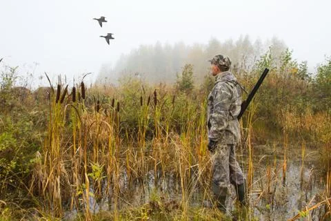 The hunter looks at the passing ducks Stock Photos