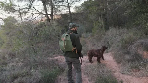 Hunter man holding a gun while walking outdoors with his dogs. Video stock 237111266
