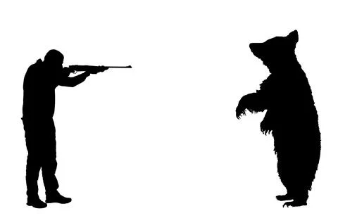 Hunter man rifle shooting bear on back legs silhouette Stock Illustration