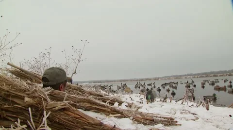 Hunter observing from hunting blind while duck hunting Stock Footage 54592035