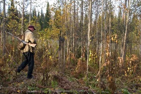 The hunter Foto stock