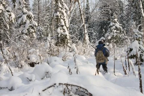 The hunter Stock-Fotos