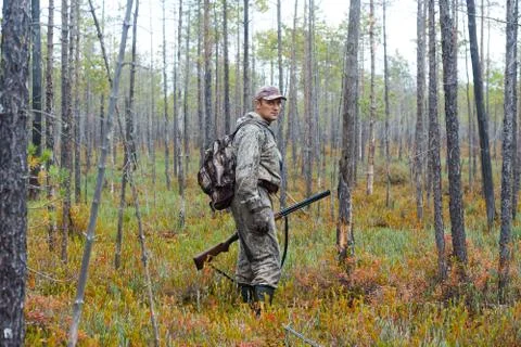 Hunter in the pine forest Stock Photos