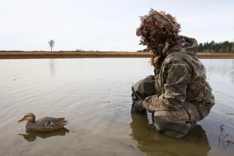 A hunter with a plastic duck decoy in shallow water Stock Photos
