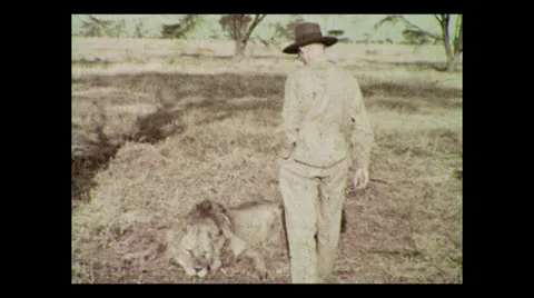 Hunter posing with lion (world record size), Tanzania 1937 動画素材 27150820