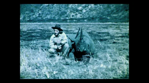 Hunter posing with rhino kill, Tanzania 1937 動画素材 27148822