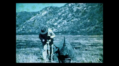 Hunter posing with rhino kill, Tanzania 1937 動画素材 27154156