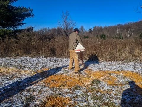 Hunter pouring corn bait from a large bag onto a snowy field in winter 写真素材