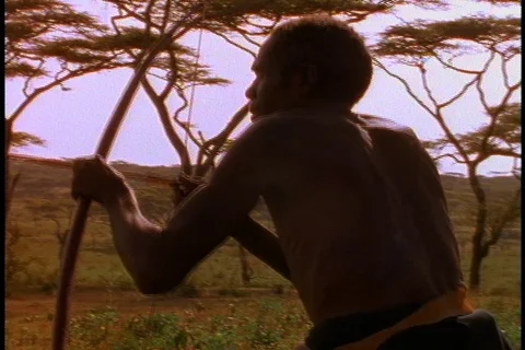 Hunter pulls back bow and aims arrow. 動画素材 86752606