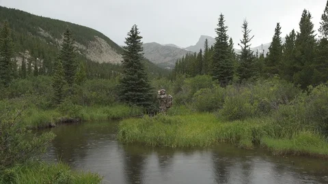 Hunter scout and explore mountain land with binoculars Stock Footage 123395262
