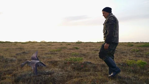 Hunter sets up fake ducks for bait Stock Footage 117398354