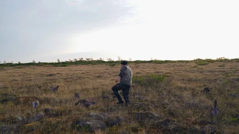 Hunter sets up fake ducks for bait Stock Footage 117398445