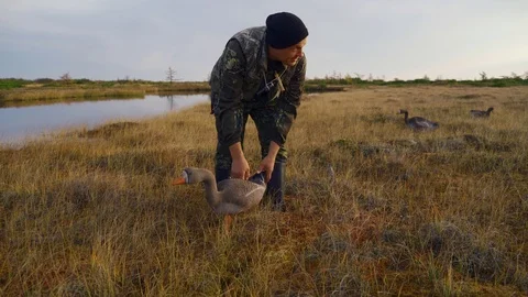 Hunter sets up fake ducks for bait Stock Footage 117398464