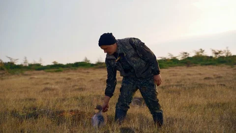 Hunter sets up fake ducks for bait Stock Footage 117398517