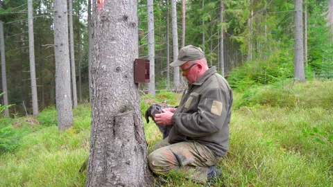 Hunter sets a trail camera on a tree in the forest Stock Footage 196056052