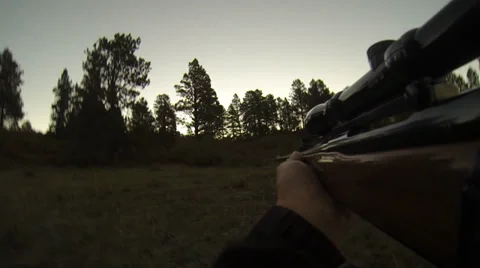 Hunter shoots an Elk Видео 31250810