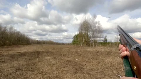 The hunter shoots a pheasant with a gun. First person shooting with a rifle. A Stock Footage 154462081