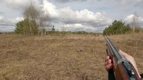 The hunter shoots a pheasant with a gun. First person shooting with a rifle. A Stock Footage 154462117