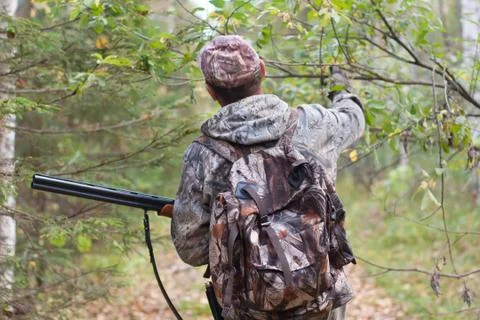 Hunter with shotgun in the forest Stock Photos