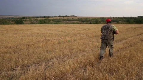 Hunter with shotgun looking for prey. Video stock 81947911