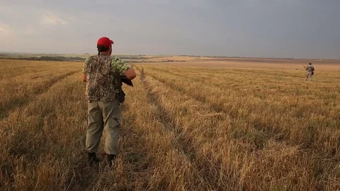 Hunter with shotgun looking for prey. 스톡 동영상 81947925