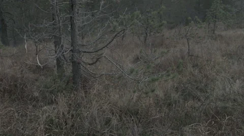 Hunter sits down and fires a shot Stock Footage 43793317