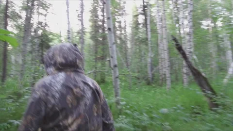 Hunter sneaks through the trees in the taiga. POV Vídeos de archivo 137366985