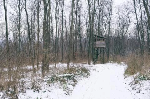 Hunter Stand in the Forest Stock Photos