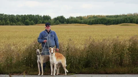 Hunter stands with dogs in ambush Stock Footage 99525877