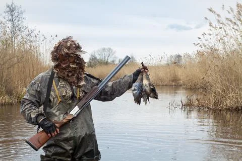 A hunter stands in a lake with two dead ducks in his hand Stock Photos