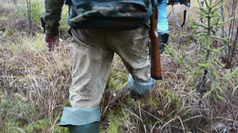 Hunter swamp forest Vidéo 55248883