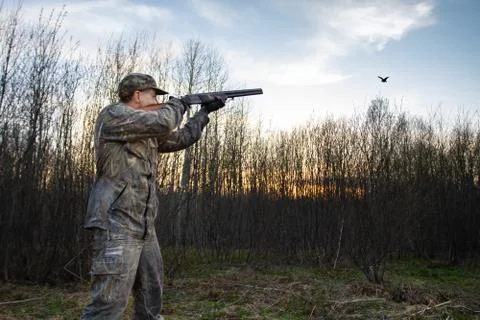Hunter takes aim at a low flying woodcock Stock Photos