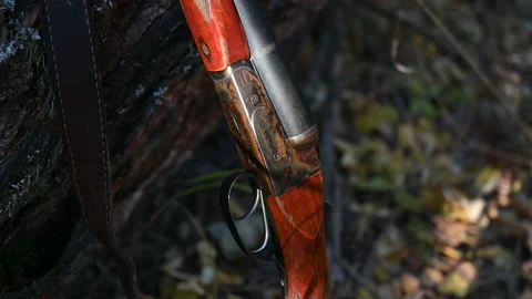 The hunter takes the gun Stock Footage 163628397