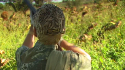 Hunter taking aim and shooting while dove hunting Stock Footage 54591668