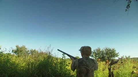 Hunter taking aim and shooting while dove hunting Stock Footage 54591674
