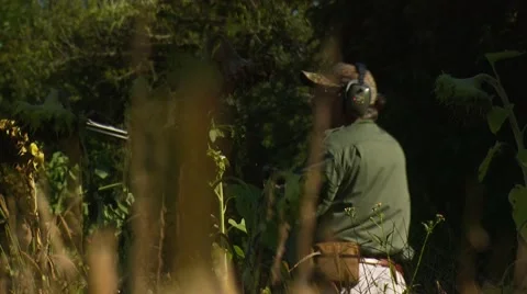 Hunter taking aim and shooting while dove hunting Stock-Footage 54591685