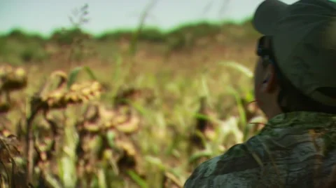 Hunter taking aim and shooting while dove hunting Stock Footage 54591702