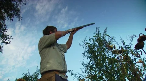 Hunter taking aim and shooting while dove hunting Stock Footage 54591712