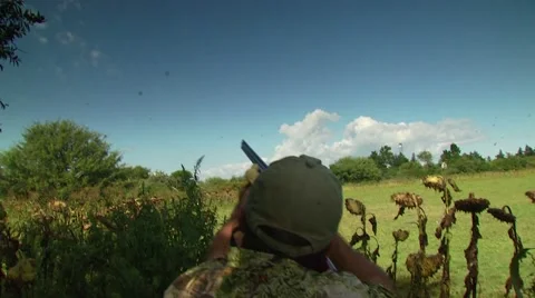 Hunter taking aim and shooting while dove hunting Stock Footage 54591741