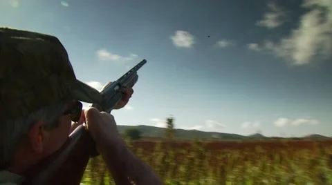 Hunter taking aim and shooting while dove hunting Stock Footage 54591830