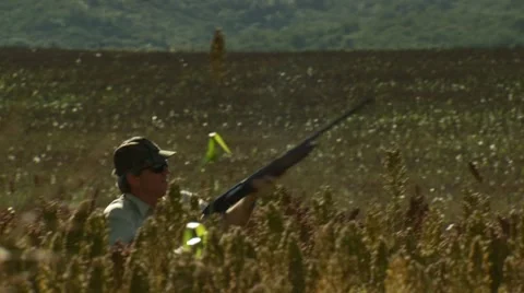 Hunter taking aim and shooting while dove hunting Video stock 54591834
