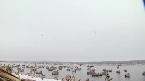 Hunter taking aim and shooting while duck hunting Stock Footage 54592195