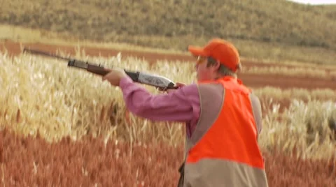 Hunter taking aim and shooting on pheasant while hunting Video stock 54593665