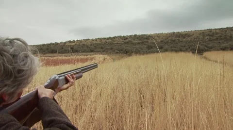 Hunter taking aim and shooting on pheasant while hunting Stock Footage 54593896