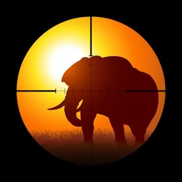 Hunter Targeting An Elephant Stock Illustration