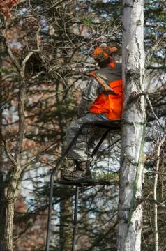 A Hunter in a tree stand Stock Photos