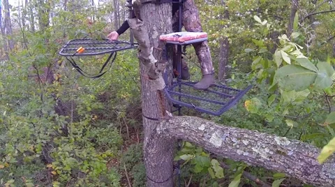 Hunter Treestand Aerial Stock Footage